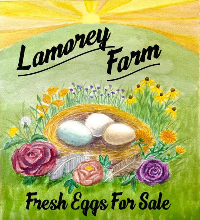 Heritage breed hatching eggs for sale